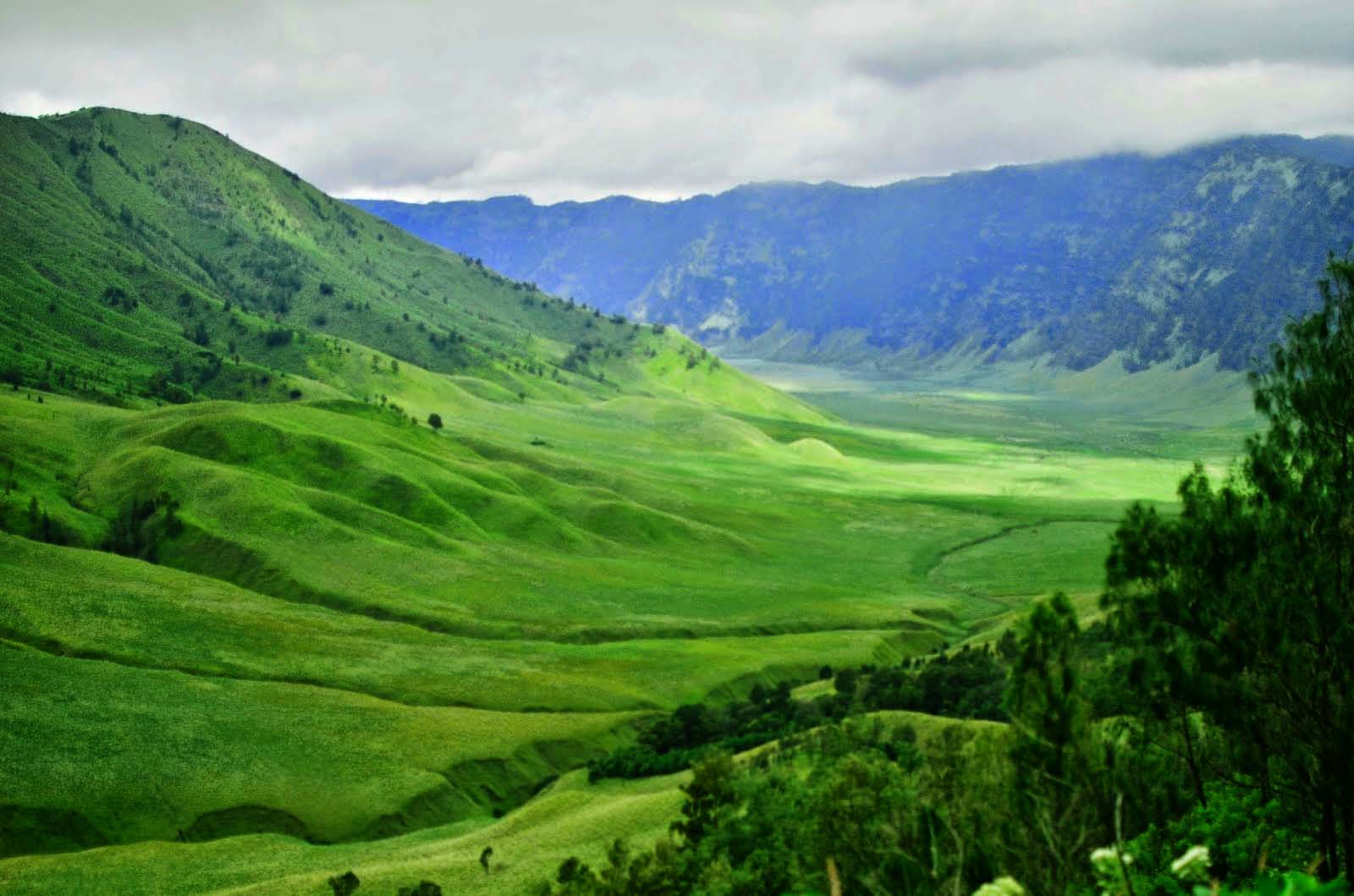 The beautiful green Savanna Valley of Mount Bromo