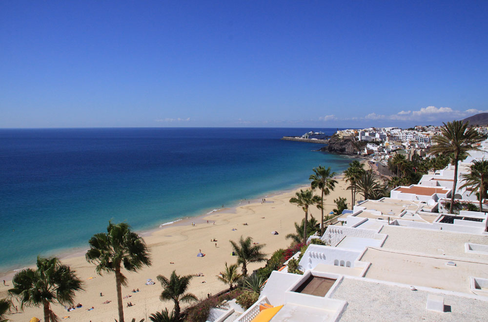 Fuerteventura shore line beaches with white sand and pine trees