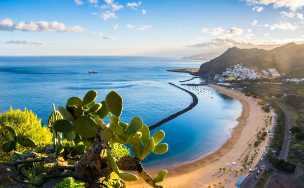 Canary islands destination