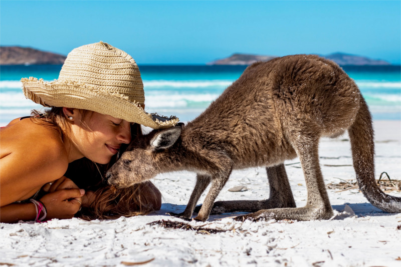 A woman wearing summer hat is smiling closely to the kangaroo and is smelling at her