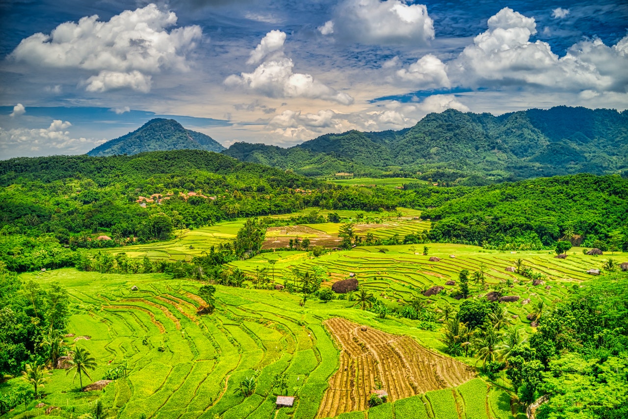 Ricefields and mountains in a sunny cloudy day