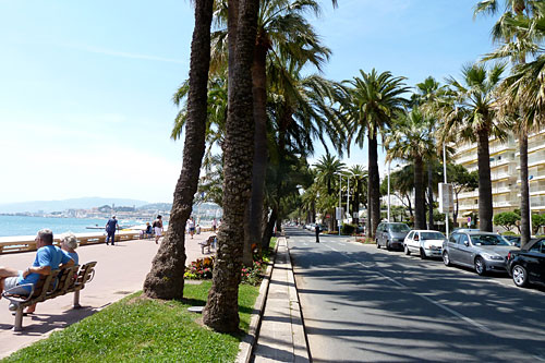 La croisette, palm trees, carns, and bench