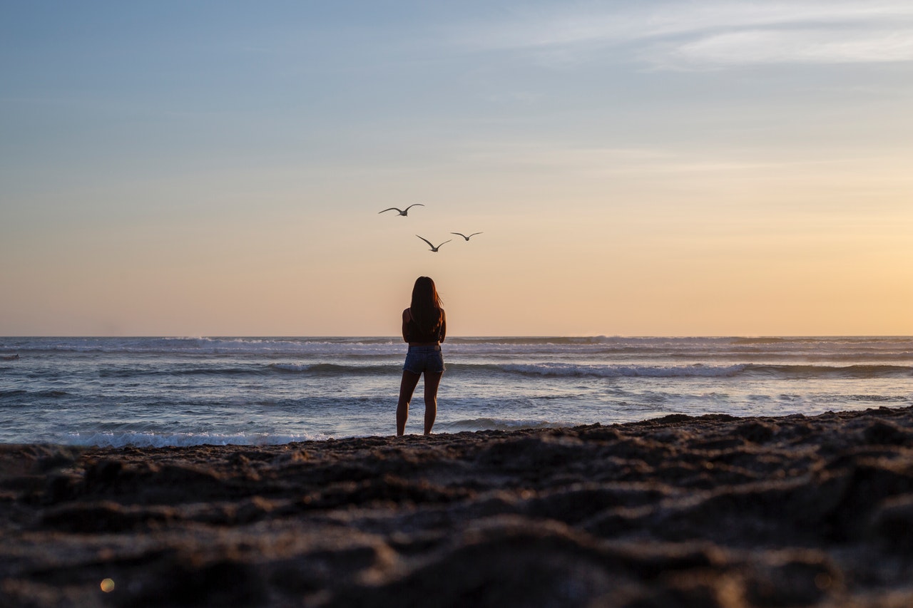 Woman Gazing At The Ocean with 3 birds flying