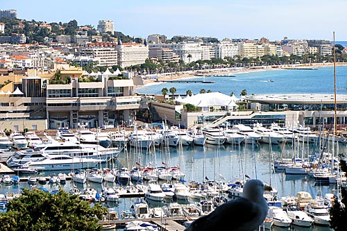 Cannes beach with yachts, bird, and infrastructures
