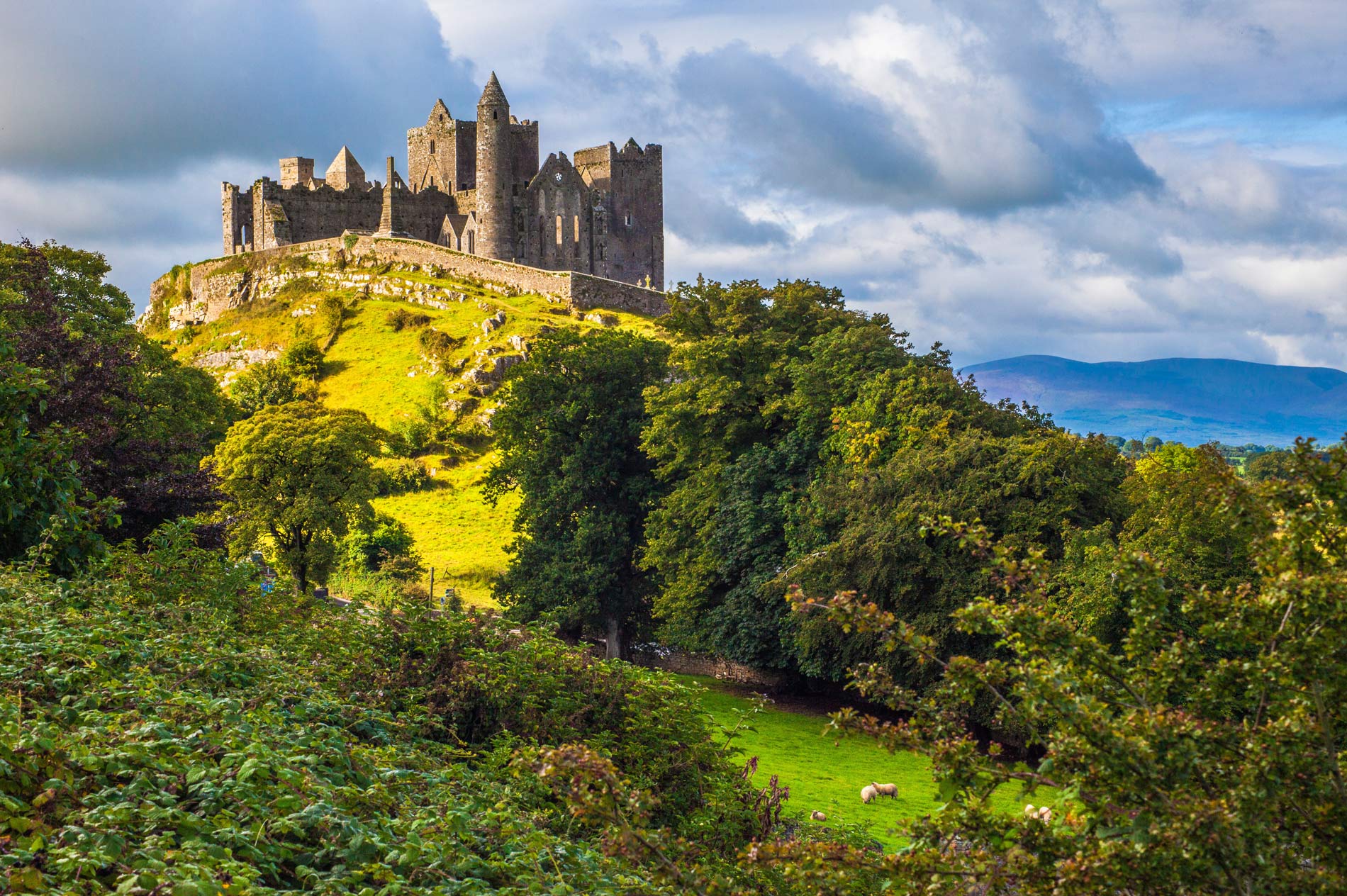 There is a beautiful palace on the hill and there is a lot of greenery at the foot of the hill. There are also big trees