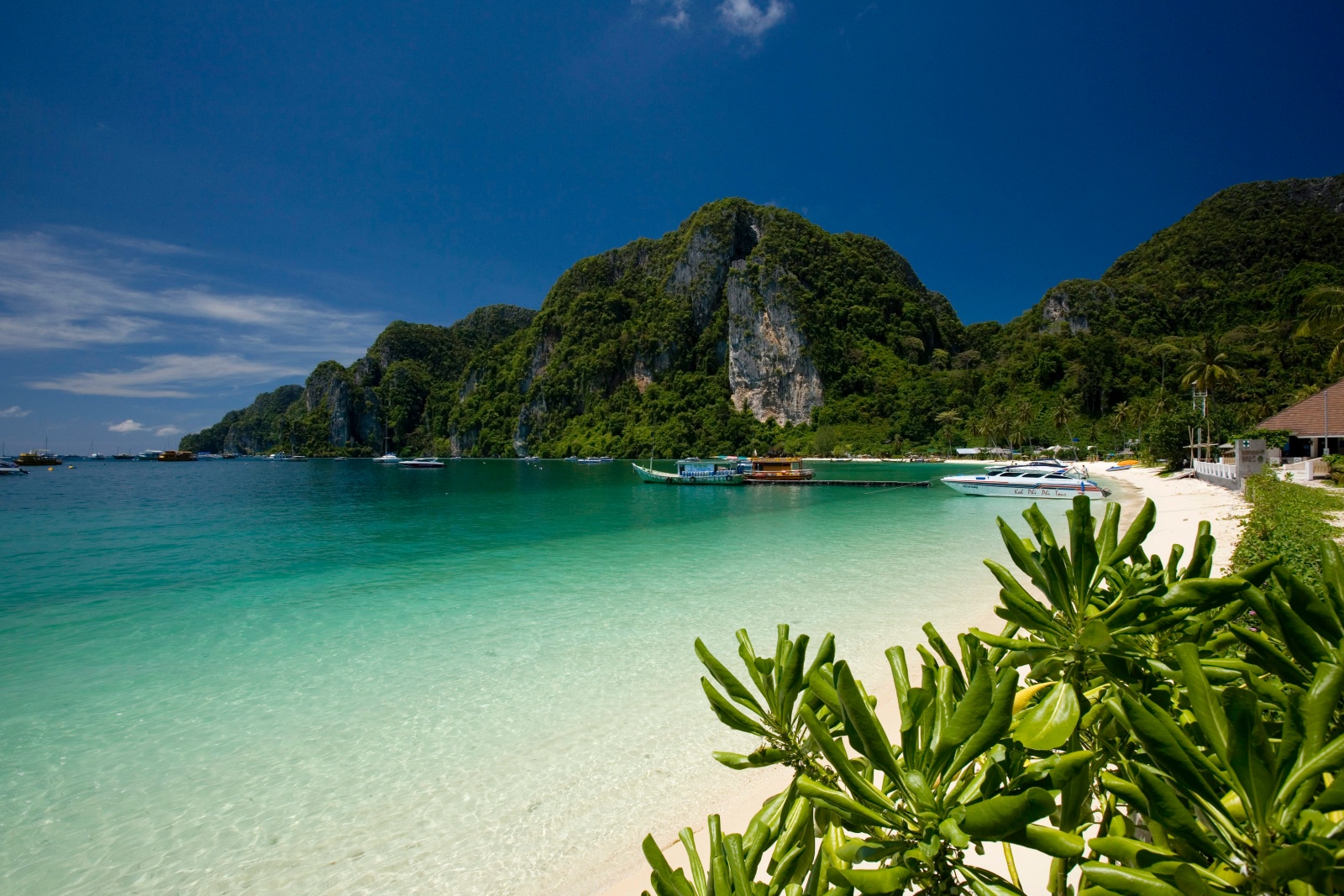 Phi  Phi Don Island has a large limestone, and clear seawater and has a clear blue sky