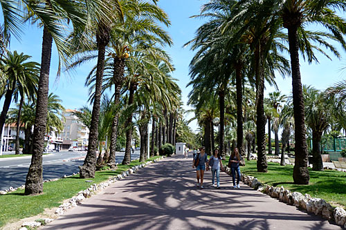 Palm trees with three girls walking