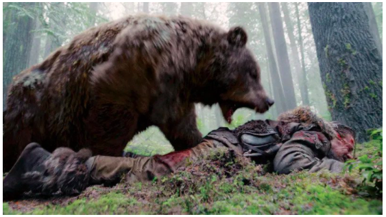 A dark brown grizzly bear attacking a wounded man in the jungle