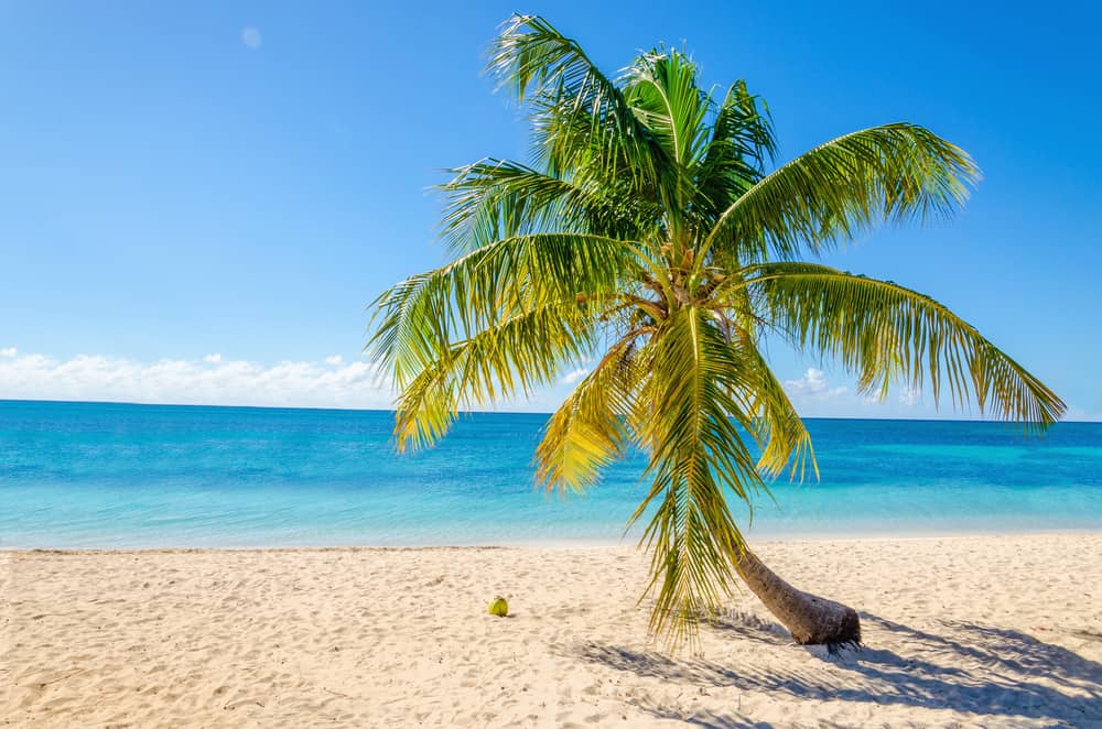 Haiti Beaches - The Pearls Of The Antilles