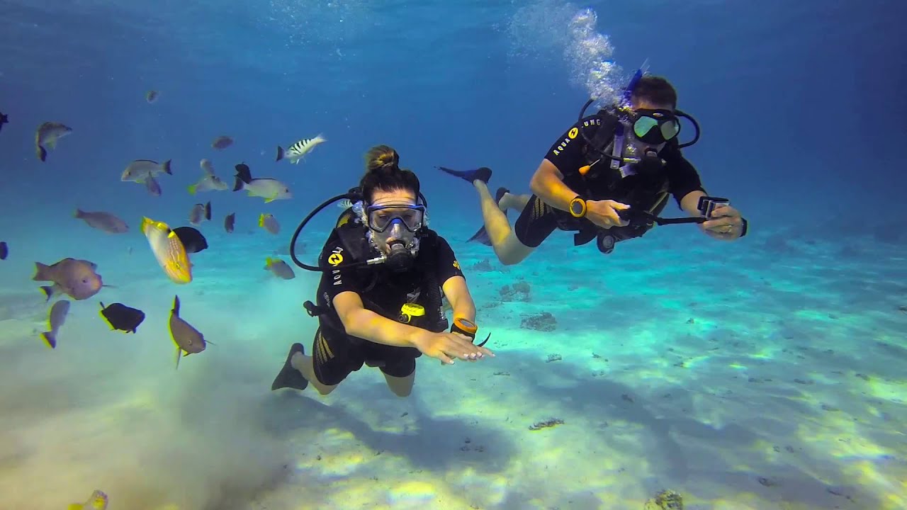 Two tourists scuba diving under Bora bora waters