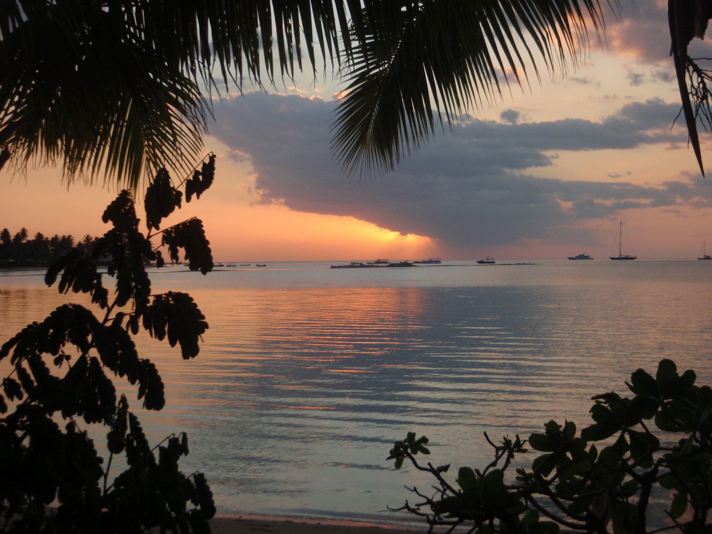 A stunning view of the sunset in a Fijian Beach
