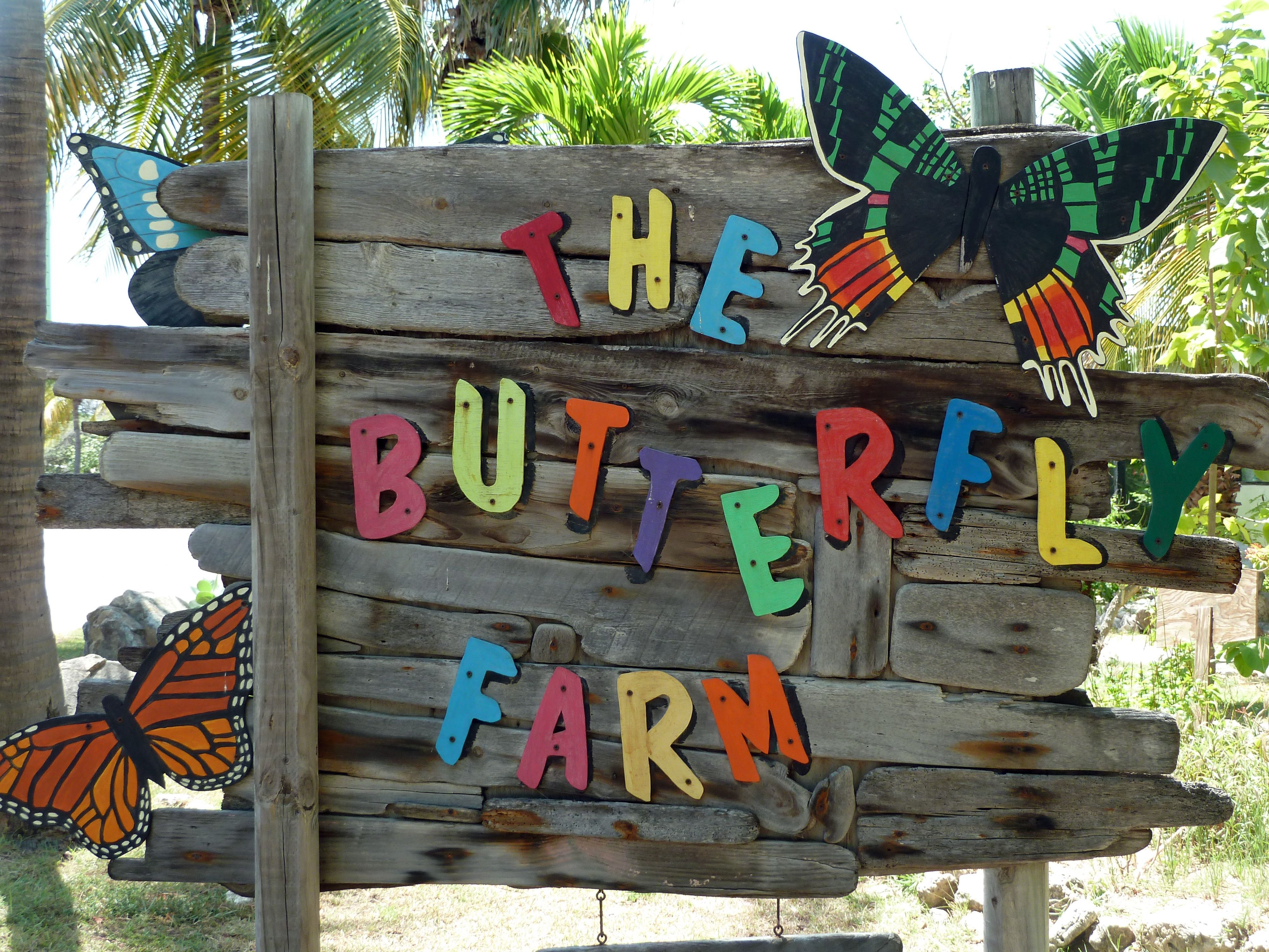 The Butterfly Farm entrance in Aruba
