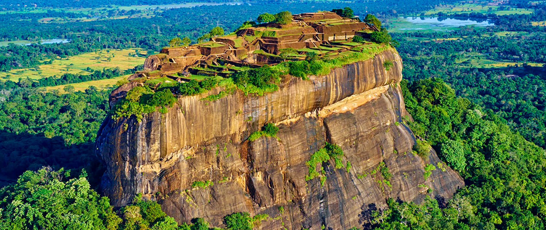 Lion Rock - Sri Lanka's Jungle Paradise