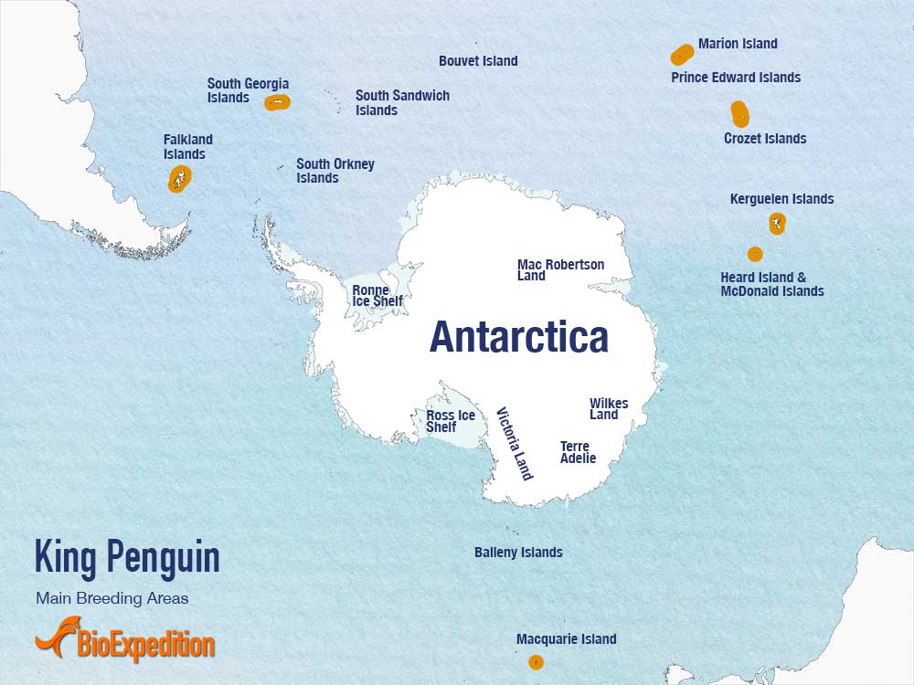King Penguins Habitat Map