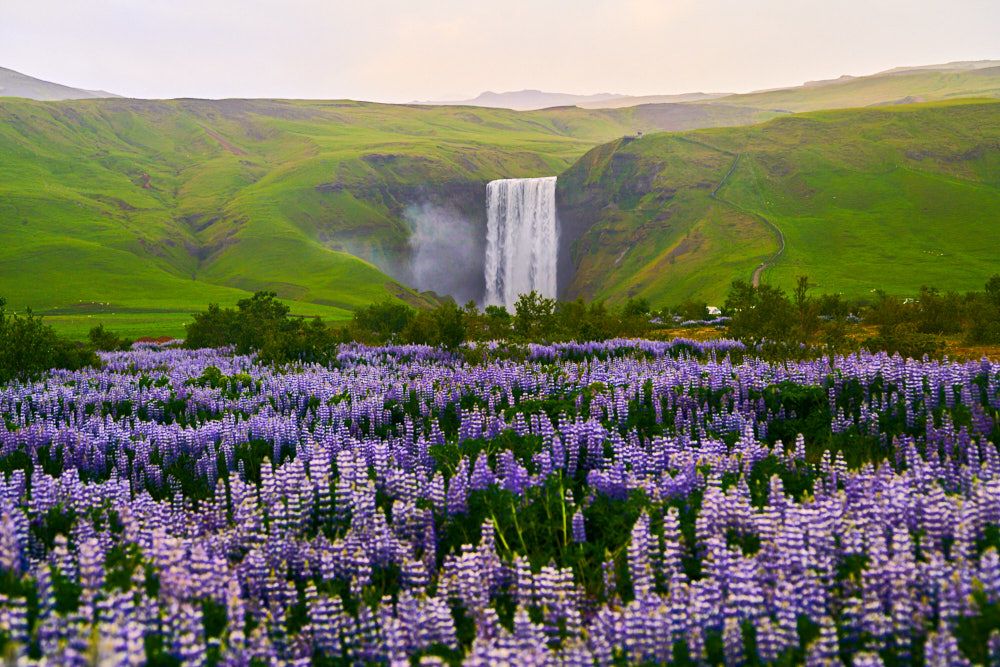 A stunning view of Iceland during spring