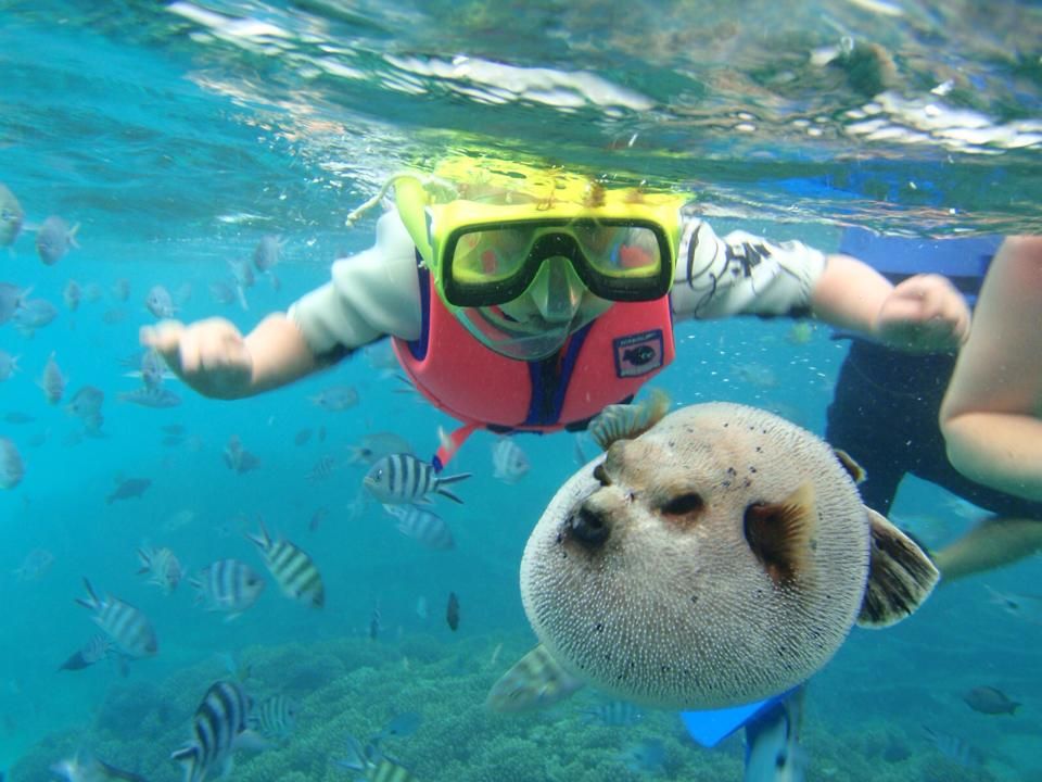A young tourist scuba diving in Blue Bay Marine Park with a Puffer fish