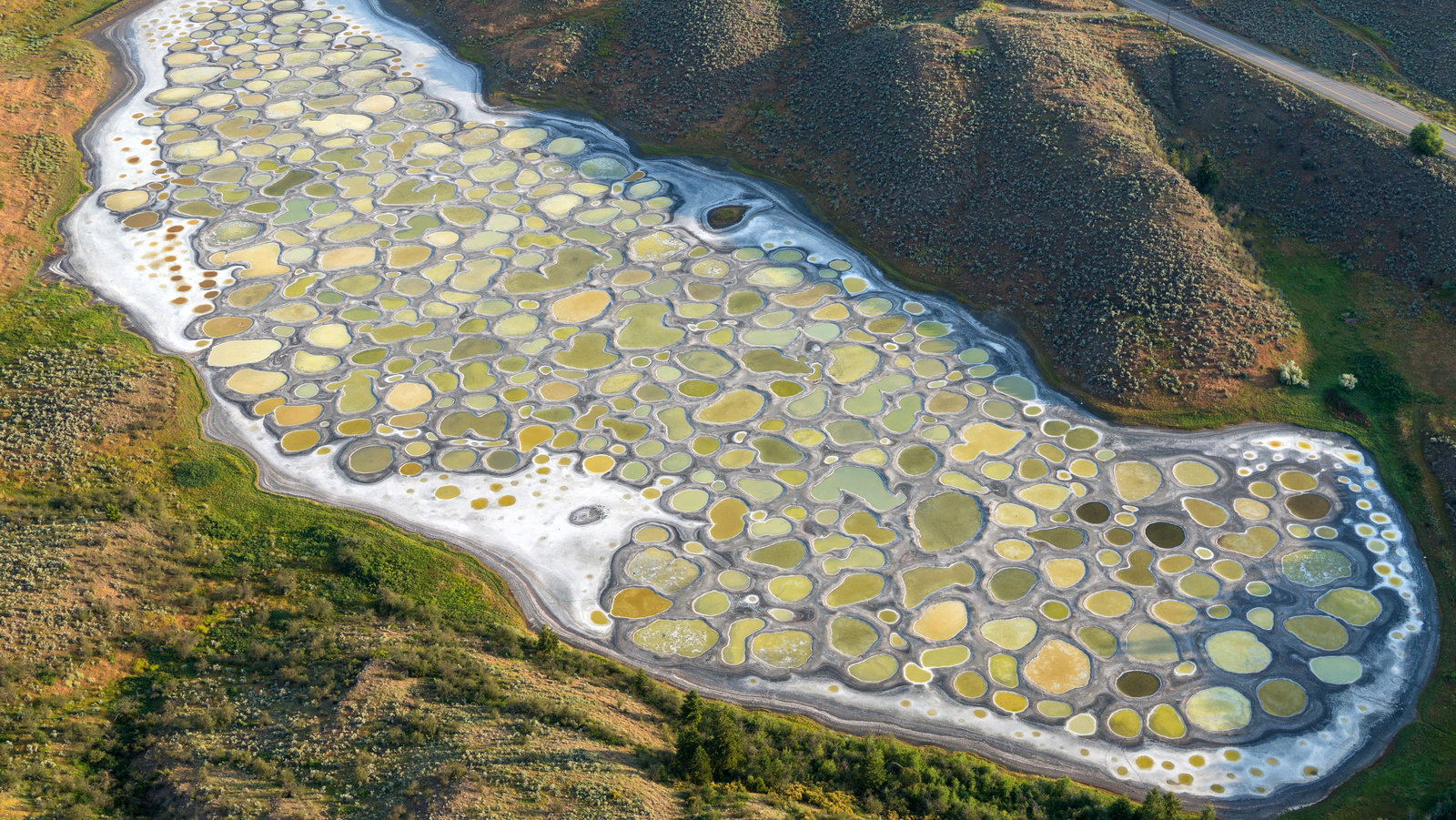 A stunning view of the Spotted Lake