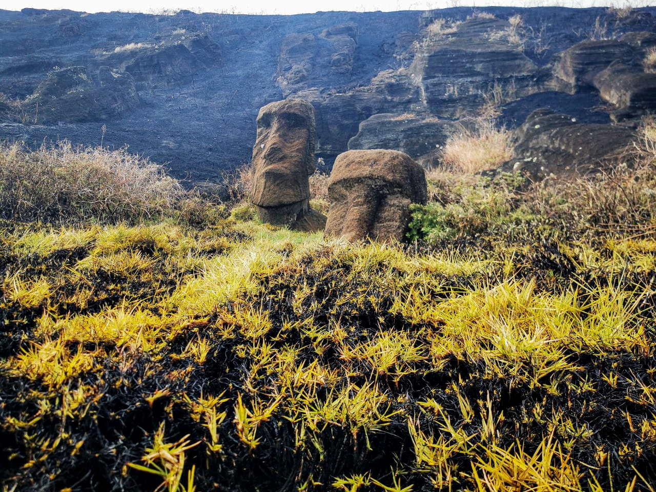 Sacred Easter Island Statues Sustain Irreparable Damage After A Volcano Fire