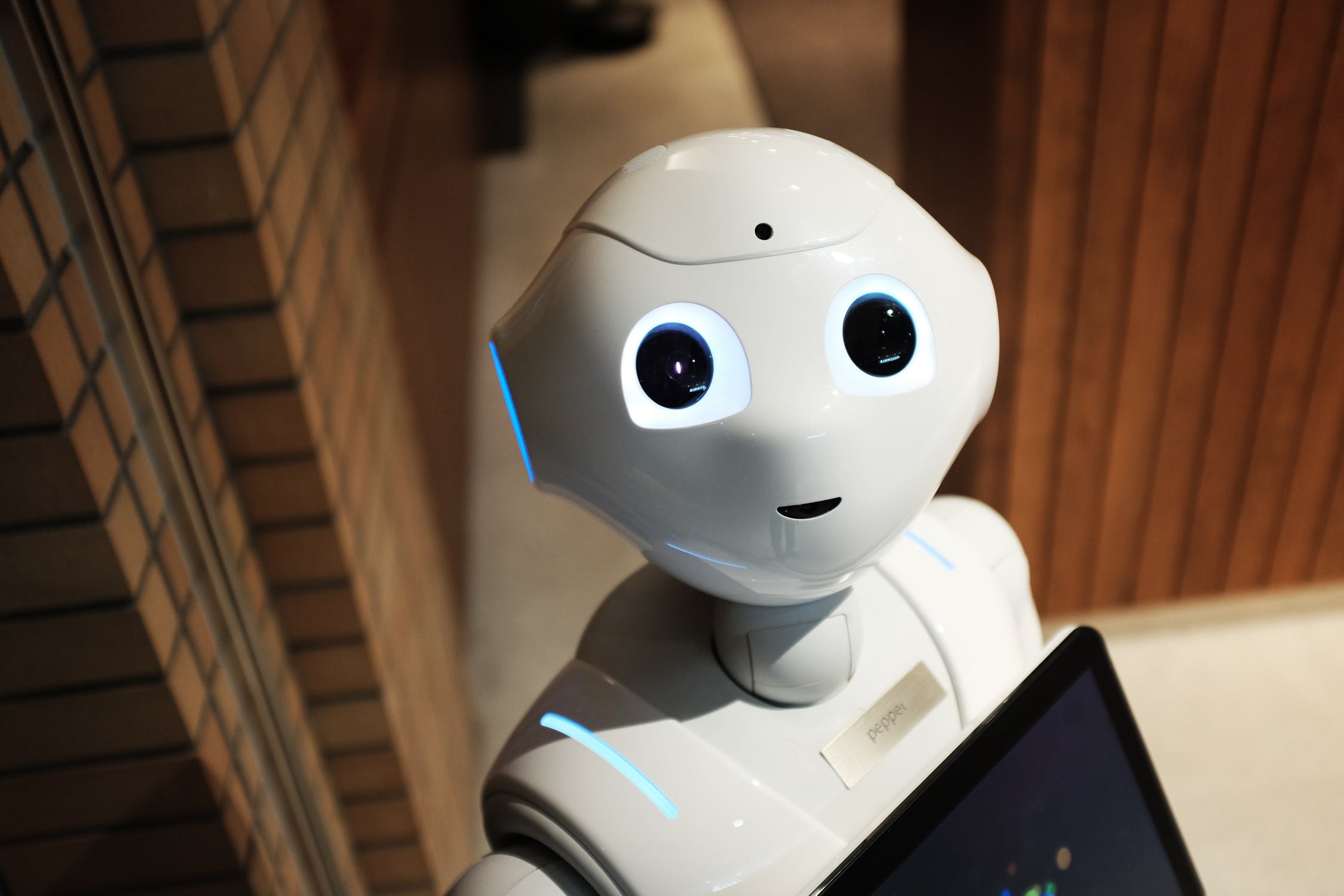 Robotics Would Play A Greater Role In The Travel Industry