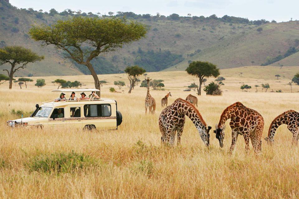 Destinations For Luxury Safaris To Visit In 2023 - Places You Need To Know About