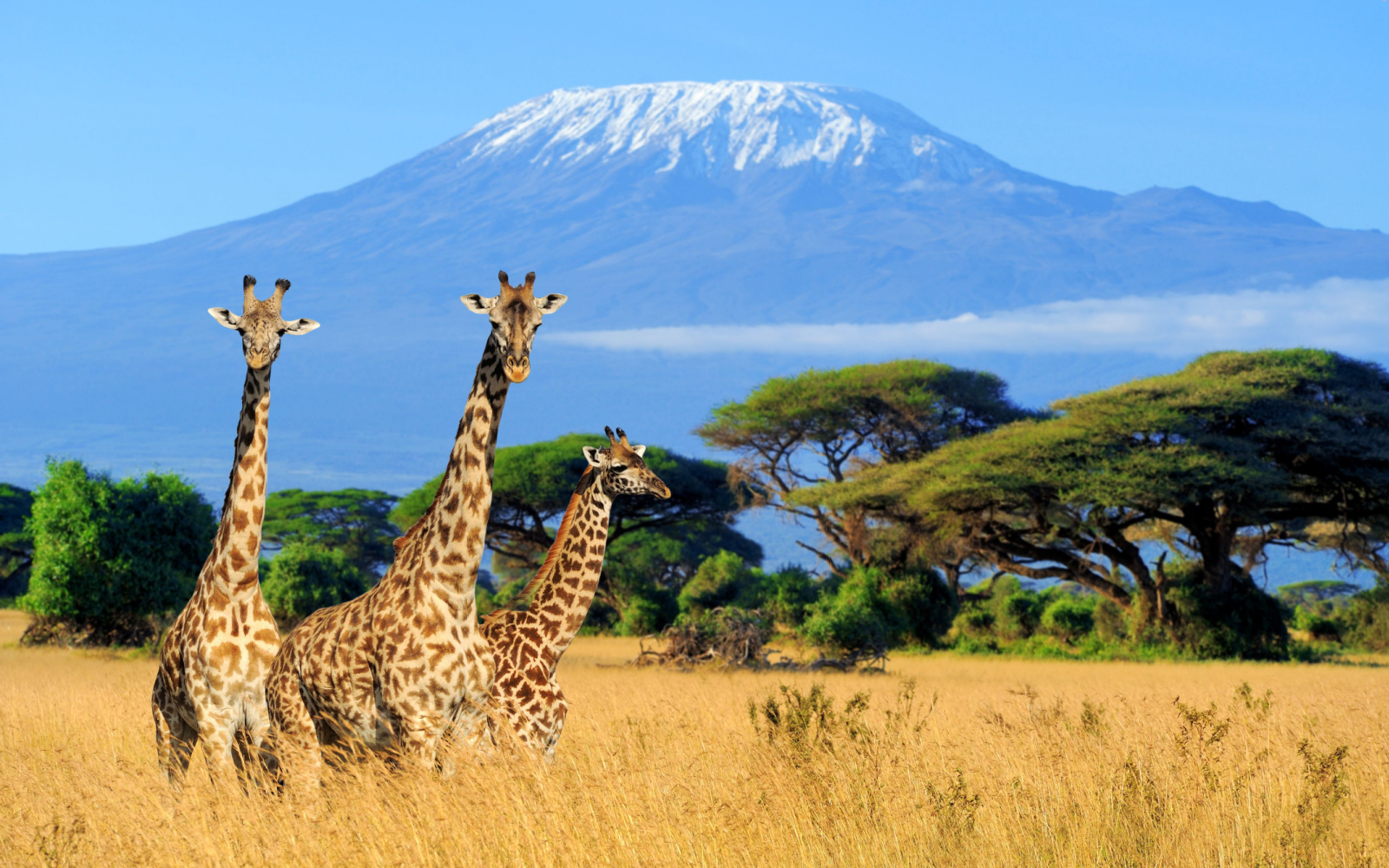 Things To Do In Kenya - A Nation Of Wonders