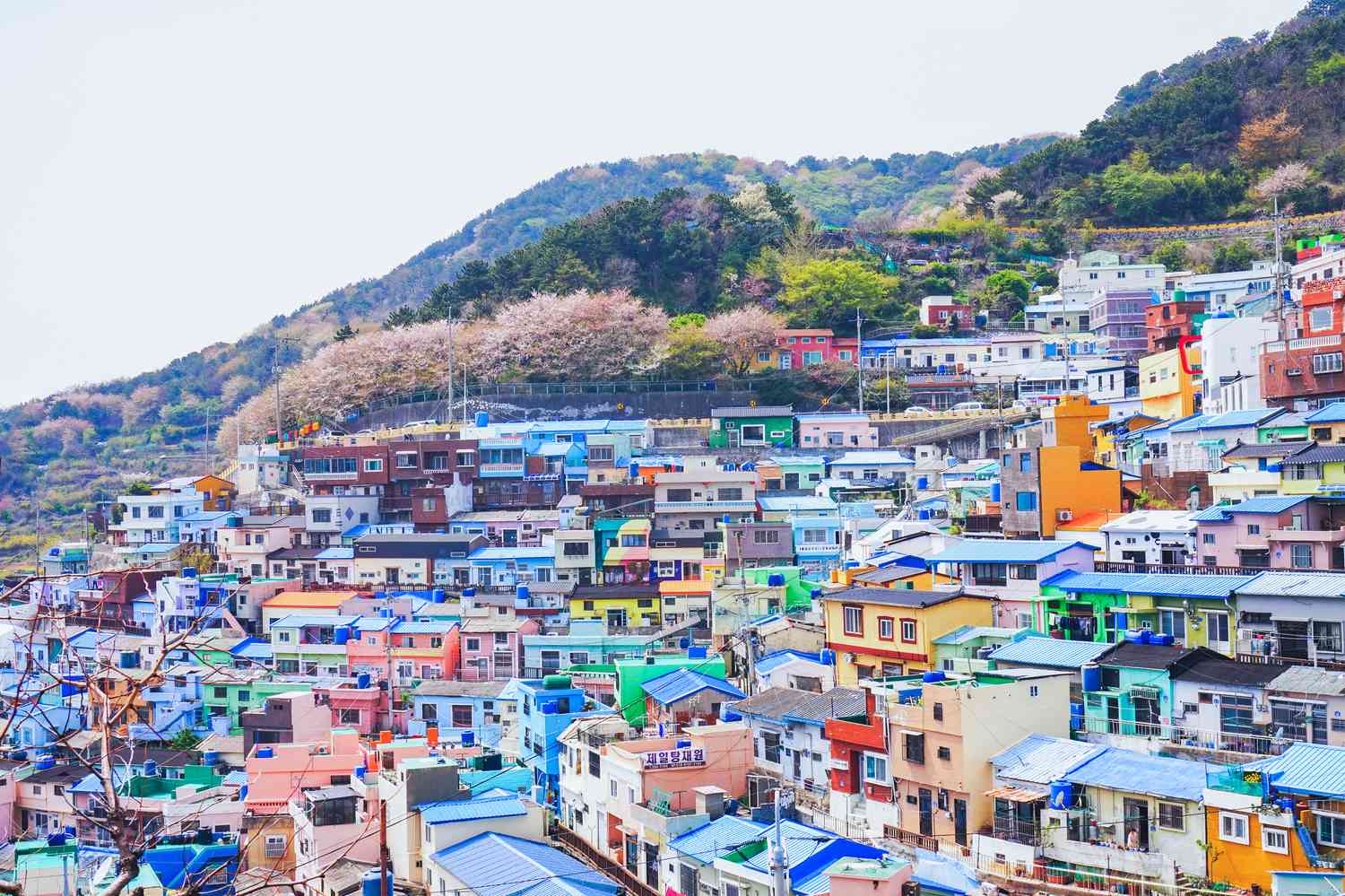Travel Busan - Unveiling Busan's Hidden Gems