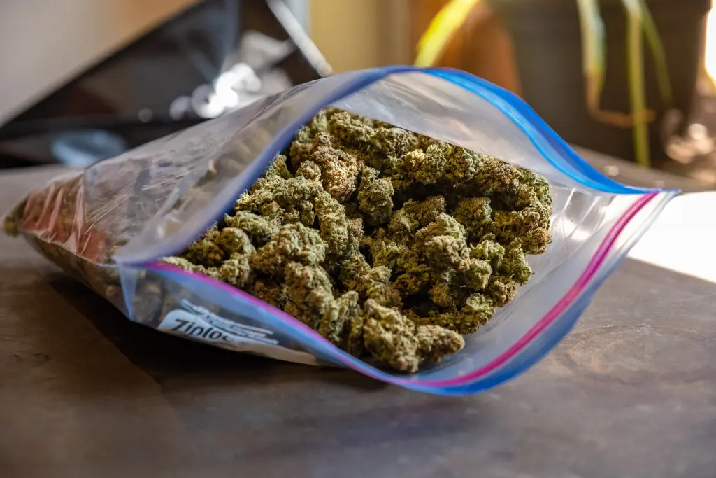United Airlines Employees Allegedly Made $10K A Week Stealing Pot From Luggage