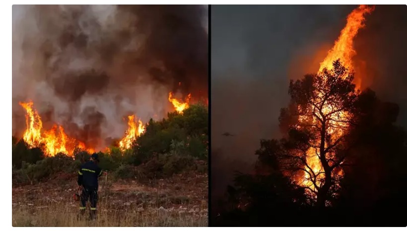 Rhodes Wildfire Causes Thousands Of Evacuations