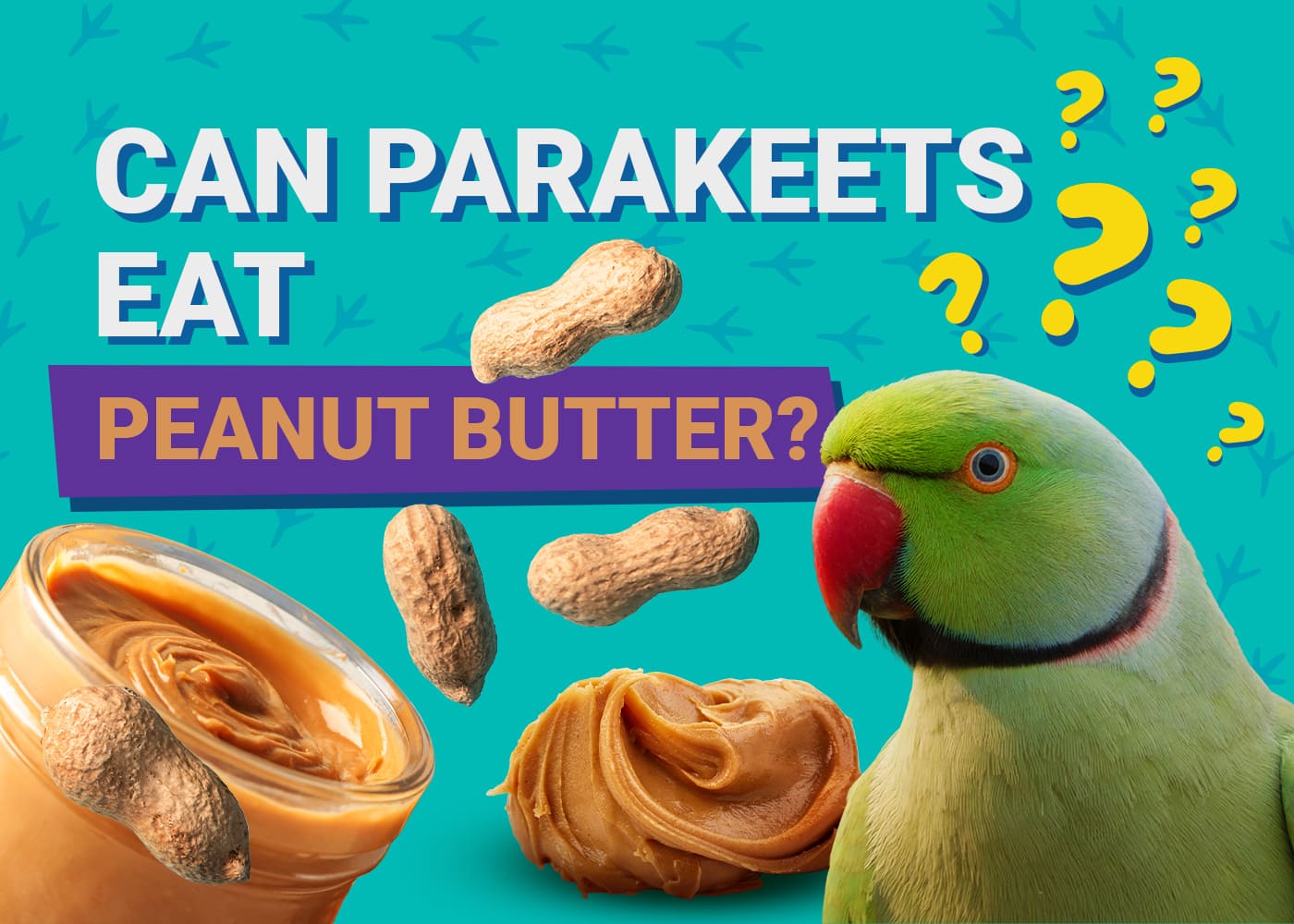 Can Parakeets Eat Peanut Butter? A Guide For Pet Owners