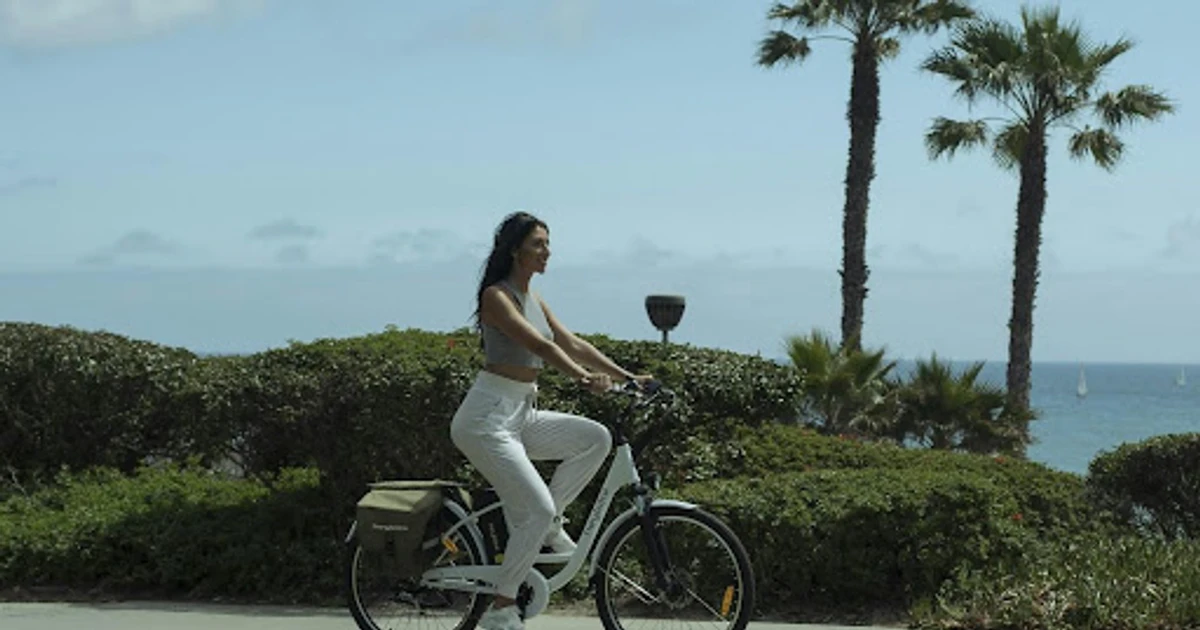 Image showcasing How To Travel With An Electric Bike